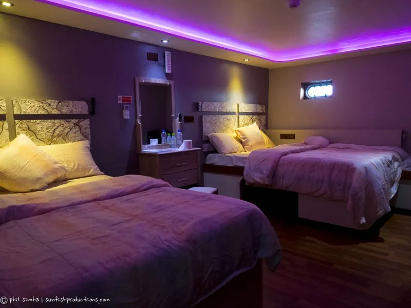 Cabina Standard