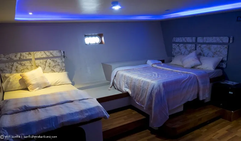 Cabina Standard