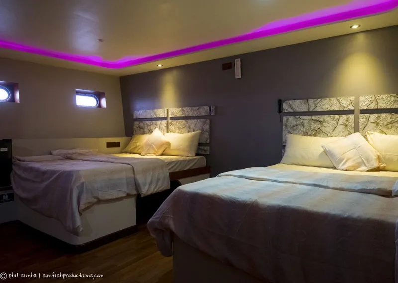 Cabina Standard