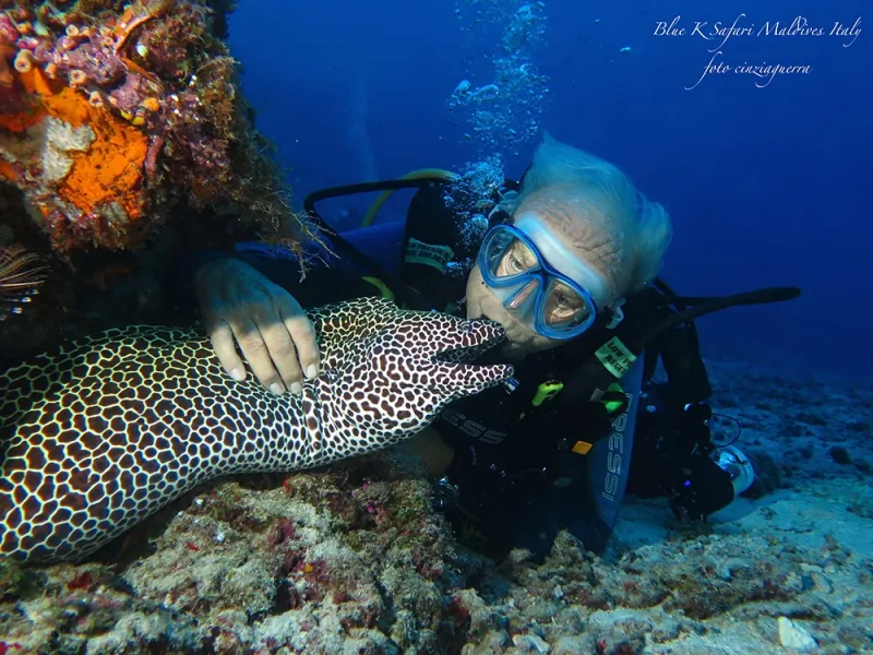 Il Reef