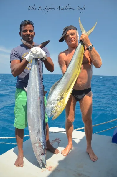Pluripremiata Dolphin come Migliore Barca Fishing