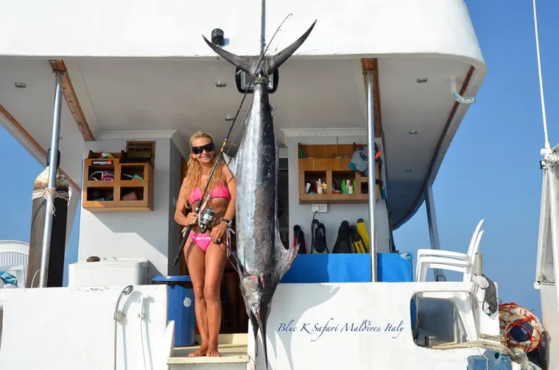Pluripremiata Dolphin come Migliore Barca Fishing