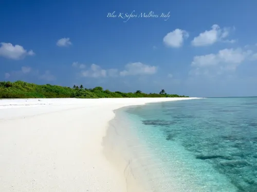 blue k safari maldives italy 1