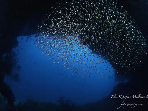 blue k safari maldives italy 1