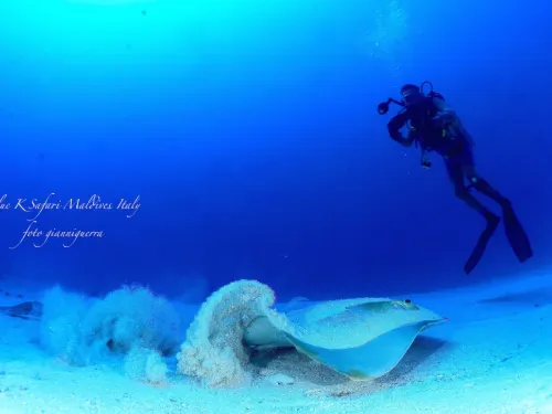 blue k safari maldives italy 1