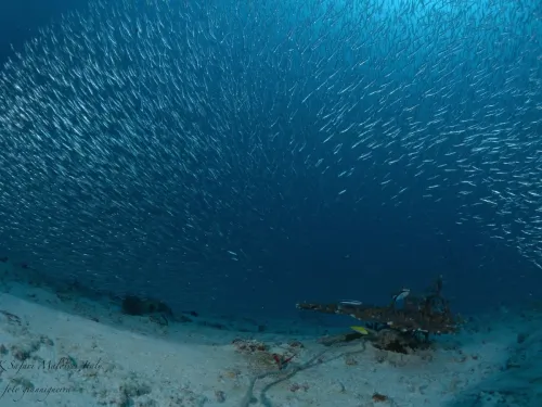 blue k safari maldives italy 1