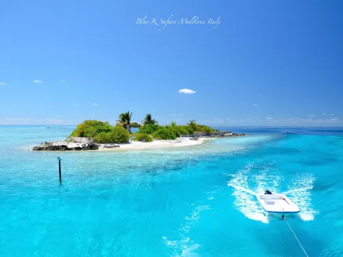 blue k safari maldives italy 1