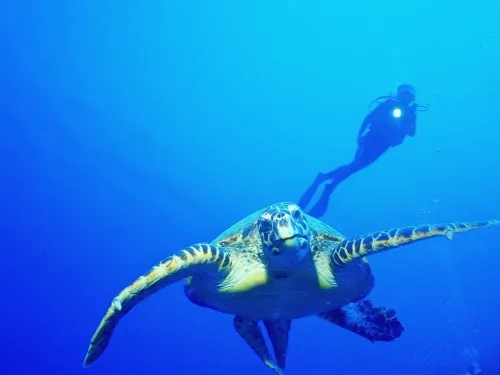 blue k safari maldives italy 1