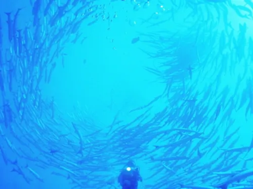 blue k safari maldives italy 2