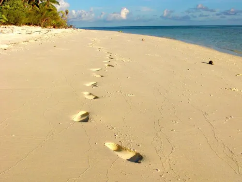 blue k safari maldives italy 2