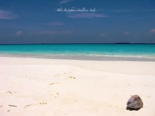 blue k safari maldives italy 2