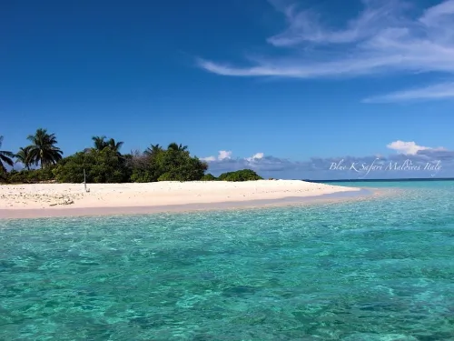 blue k safari maldives italy 2