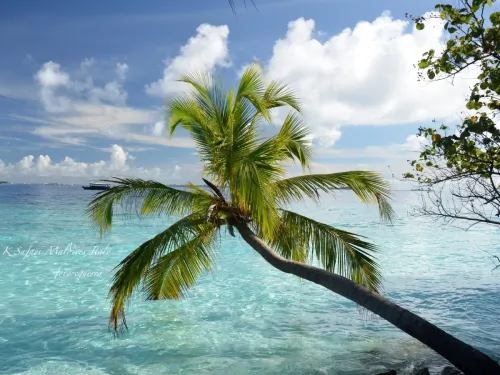 blue k safari maldives italy 2