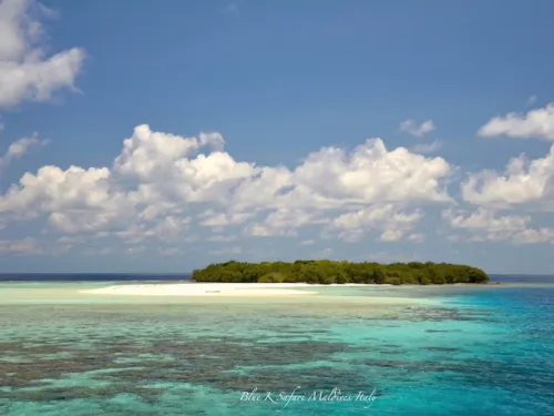 blue k safari maldives italy 2