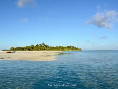blue k safari maldives italy 2