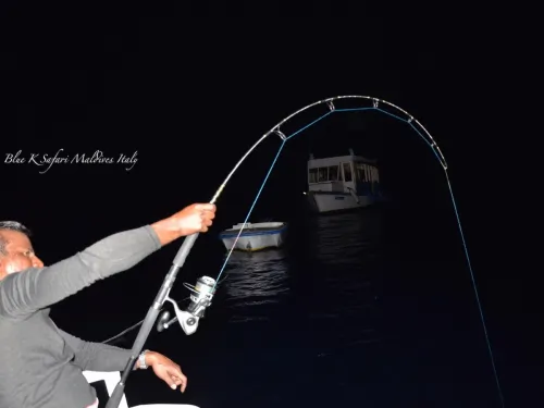 blue k safari maldives italy 2