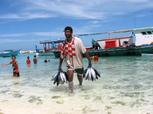 blue k safari maldives italy 2