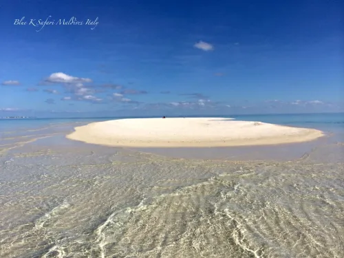 blue k safari maldives italy 2
