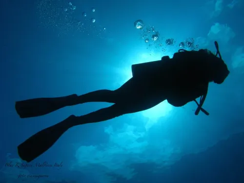 blue k safari maldives italy 2
