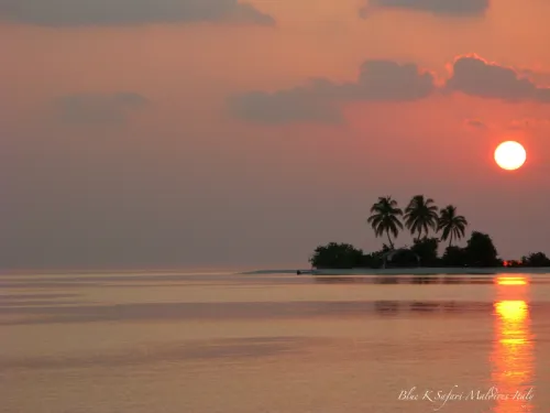 blue k safari maldives italy 2