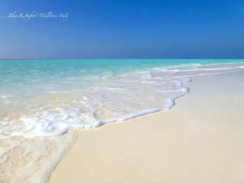 blue k safari maldives italy 2