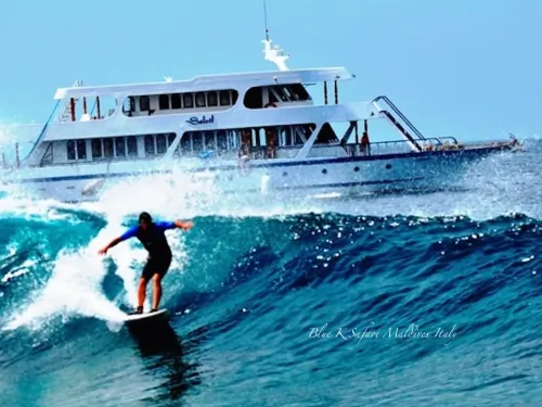blue k safari maldives italy 2
