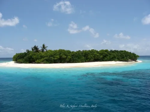 blue k safari maldives italy 3