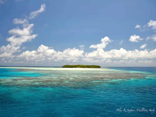 blue k safari maldives italy 3