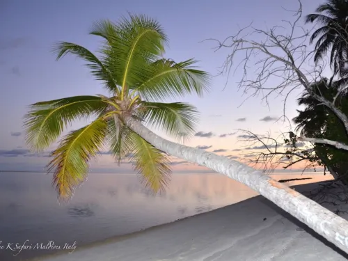 blue k safari maldives italy 3