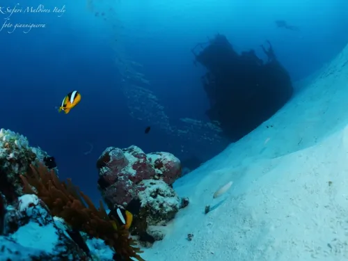 blue k safari maldives italy 3