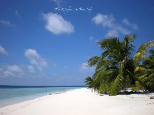 blue k safari maldives italy 3