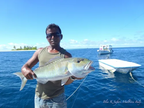 blue k safari maldives italy 3