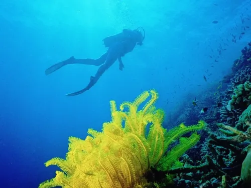 blue k safari maldives italy 3