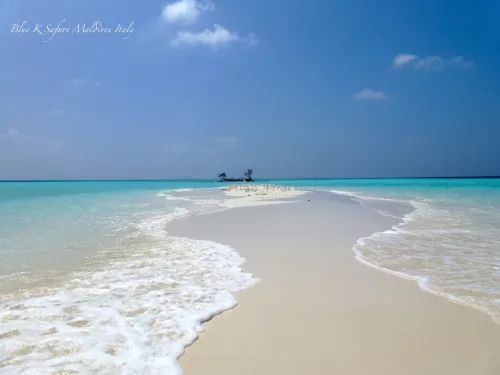 blue k safari maldives italy 3