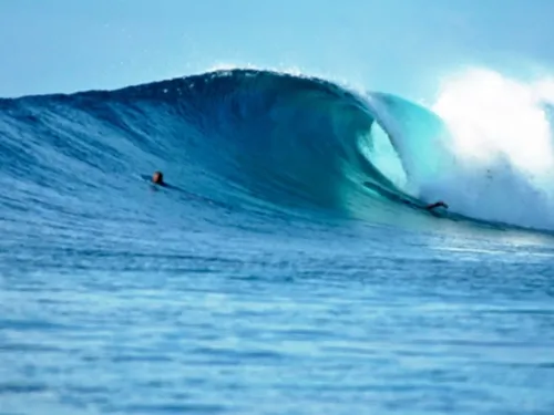 blue k safari maldives italy 3