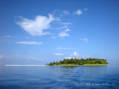 blue k safari maldives italy 4